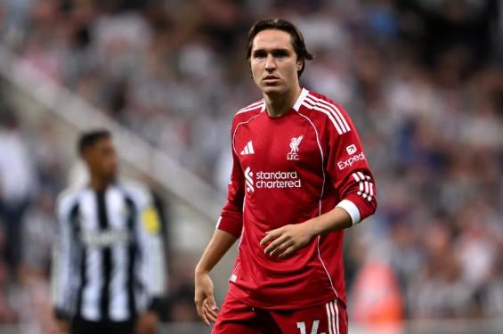 狼烟四起,明尼苏达森,林狼誓要吞,开云体育官网,KaiYun,Sports,开云体育中国官网,KaiYun,Sports体育平台,开云体育服务