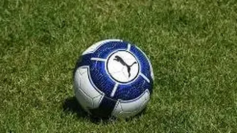 开云体育 资讯 171748 2hn