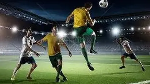 开云体育 资讯 083955 zst